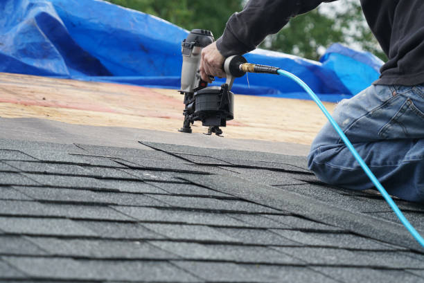 Best Commercial Roofing Services  in Ligh, NE